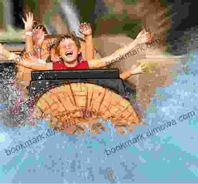 A Group Of People Enjoying A Ride On A Water Flume Roller Coasters Flumes And Flying Saucers