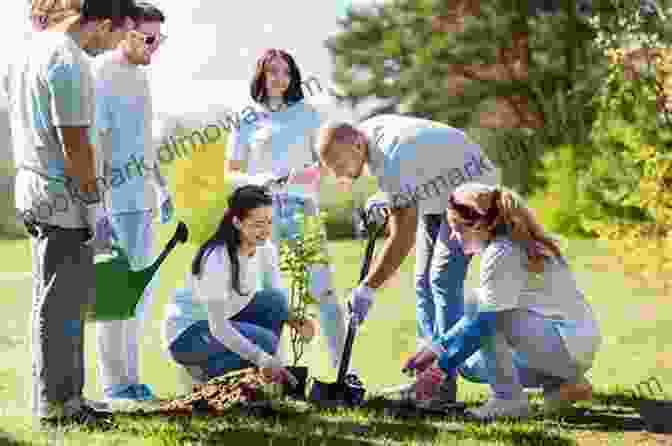 A Group Of People Planting Trees On Anderson Island Island Year: Anderson Island Puget Sound