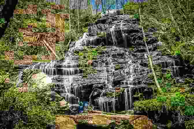 A Hidden Waterfall In South Carolina Greater Than A Tourist South Carolina USA: 50 Travel Tips From A Local (Greater Than A Tourist United States 41)