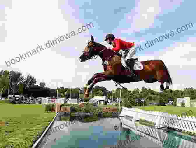 A Man Riding A Horse Over A Jump Being There: An Autobiography By Arguably The Most Successful All Round International Rider In The History Of New Zealand Motorcycling