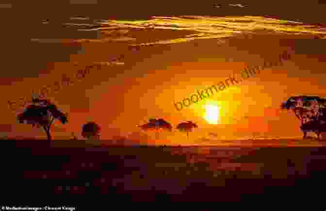 A Stunning African Sunset Over The Savanna Africa Is Not For Sissies