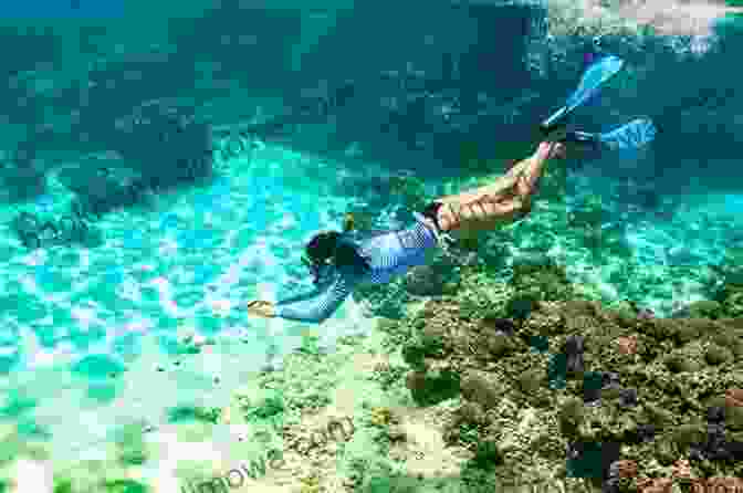 An Underwater Photograph Showcasing The Vibrant Marine Life And Crystal Clear Waters Of Bermuda, Perfect For Snorkeling And Diving Bermuda S Top Attractions: Bermuda Travel Guide Part I