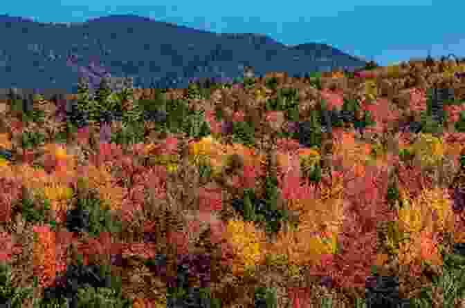 Autumn Foliage In New England Backroads Byways Of Arizona: Drives Day Trips Weekend Excursions (Backroads Byways)