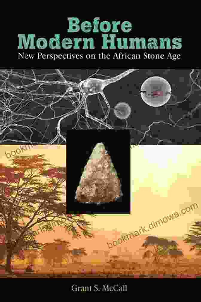 Book Cover Of 'New Perspectives On The African Stone Age' Before Modern Humans: New Perspectives On The African Stone Age