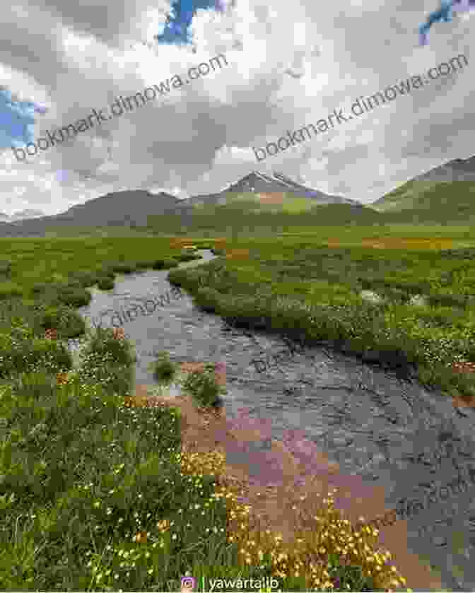 Deosai National Park, A High Altitude Plateau Renowned For Its Diverse Flora And Fauna, Including The Rare Himalayan Brown Bear Top 10 Visiting Places In Pakistan