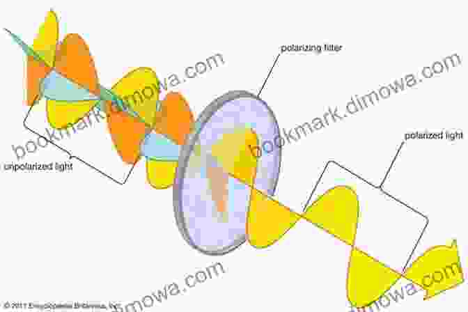 Polarization Of Light Polarized Light And Optical Systems (Optical Sciences And Applications Of Light)