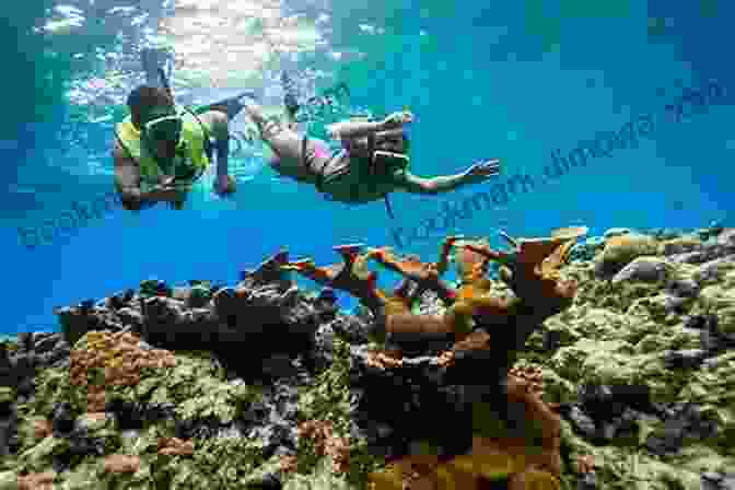 Snorkeling In Coral Field Amazing Thailand Easy Travel The Way Of Village: See The Beauty Of The Coral Fields During Low Tides Have You Gone On A Trip Feeling That Something Essential Is Somehow Lacking Or Missing?