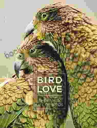 Bird Love: The Family Life Of Birds