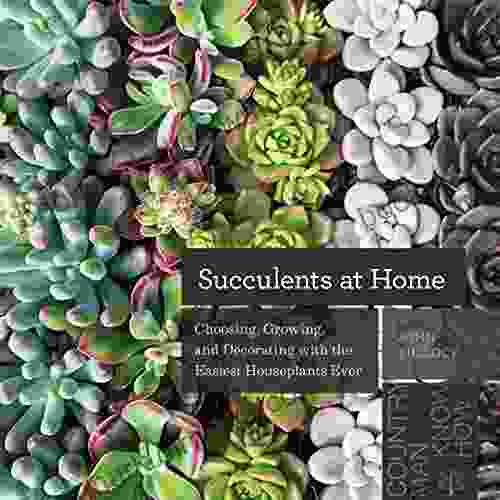 Succulents at Home: Choosing Growing and Decorating with the Easiest Houseplants Ever