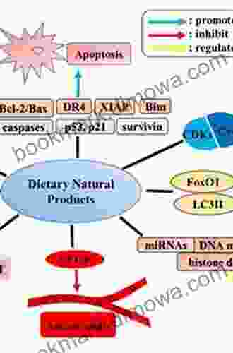 Natural Products And Cancer Signaling: Isoprenoids Polyphenols And Flavonoids (ISSN 36)