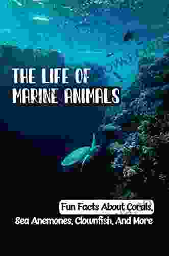 The Life Of Marine Animals: Fun Facts About Corals Sea Anemones Clownfish And More: Marine Animals