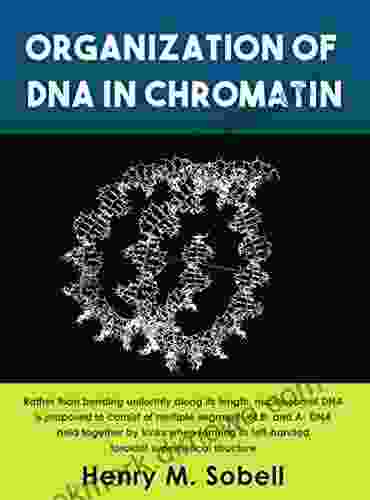 Organization Of DNA In Chromatin
