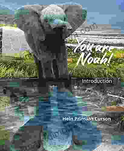 You Are Noah : Introduction Hein Prinsloo Curson